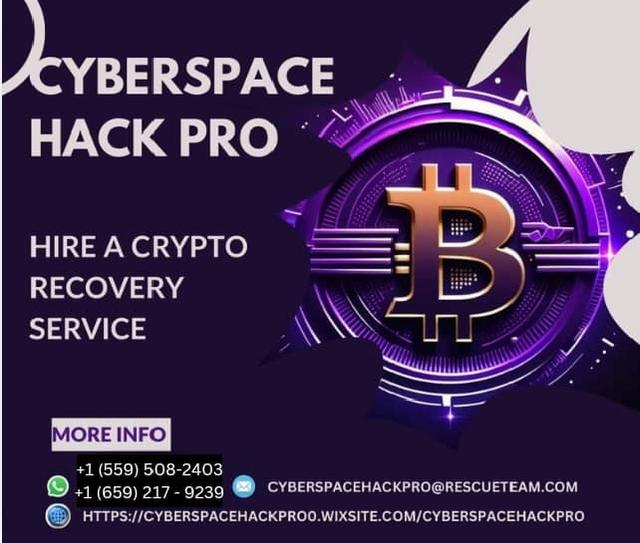 User insert a picture in comment